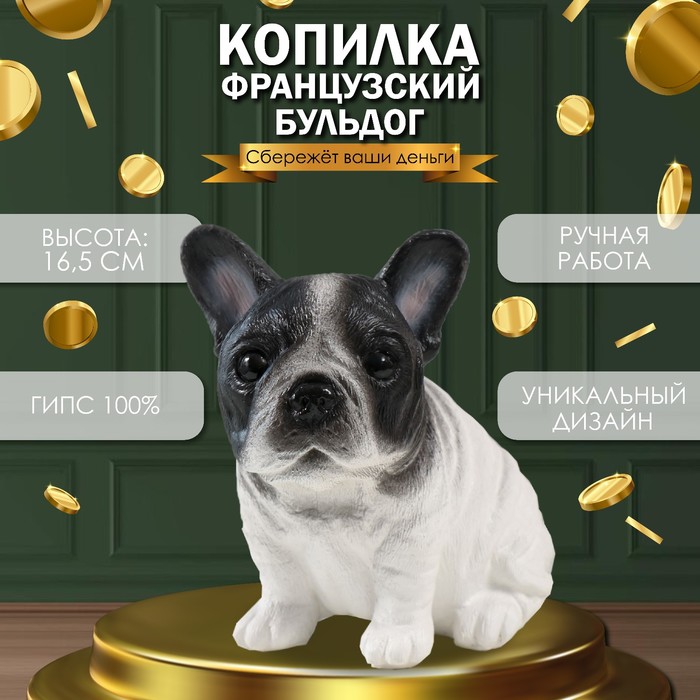 Копилка для денег «Щенок французского бульдога», гипс, 16.5?11.5?18 см