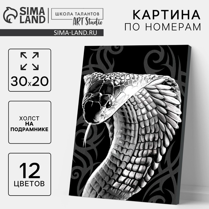 Картина по номерам на новый год «Змея кобра», 30?20 см, набор для творчества