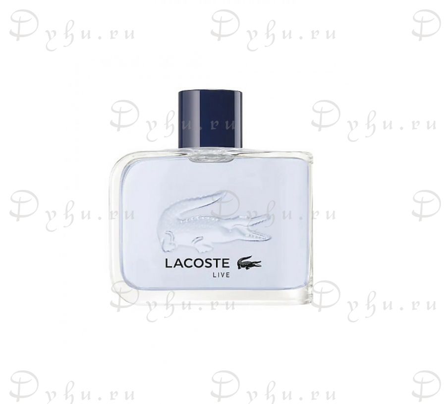 Lacoste live lacoste