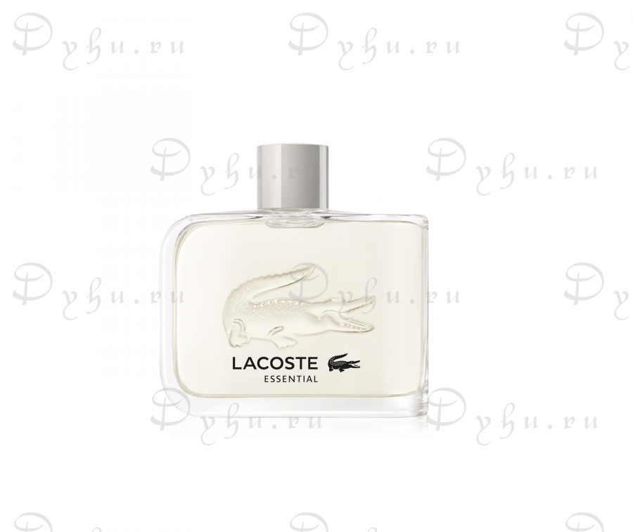 Lacoste Essential new