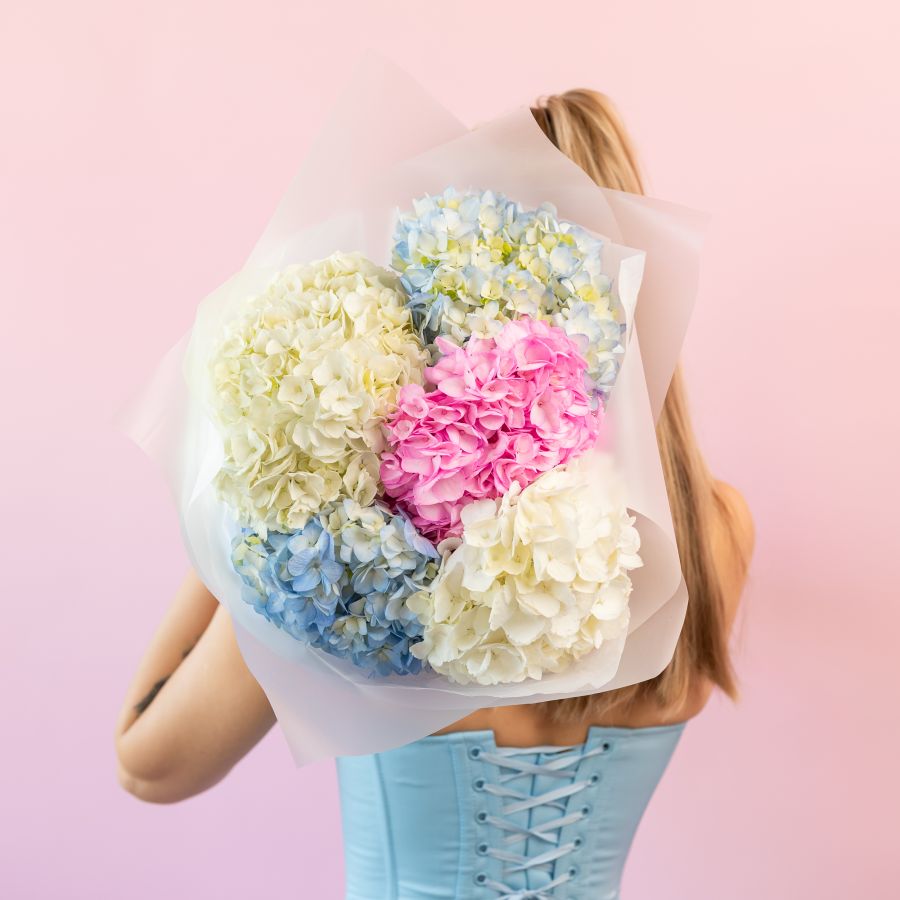 Гортензия микс 5 шт