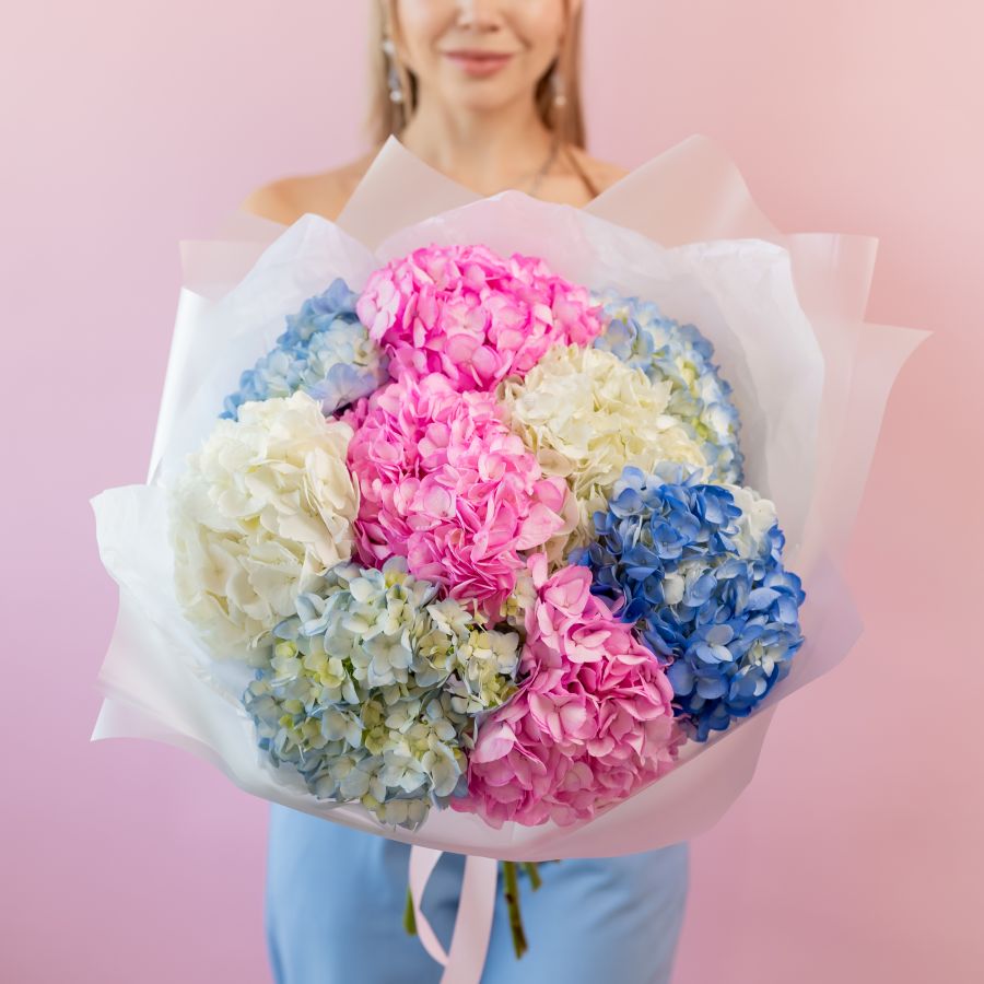 Гортензия микс 9 шт