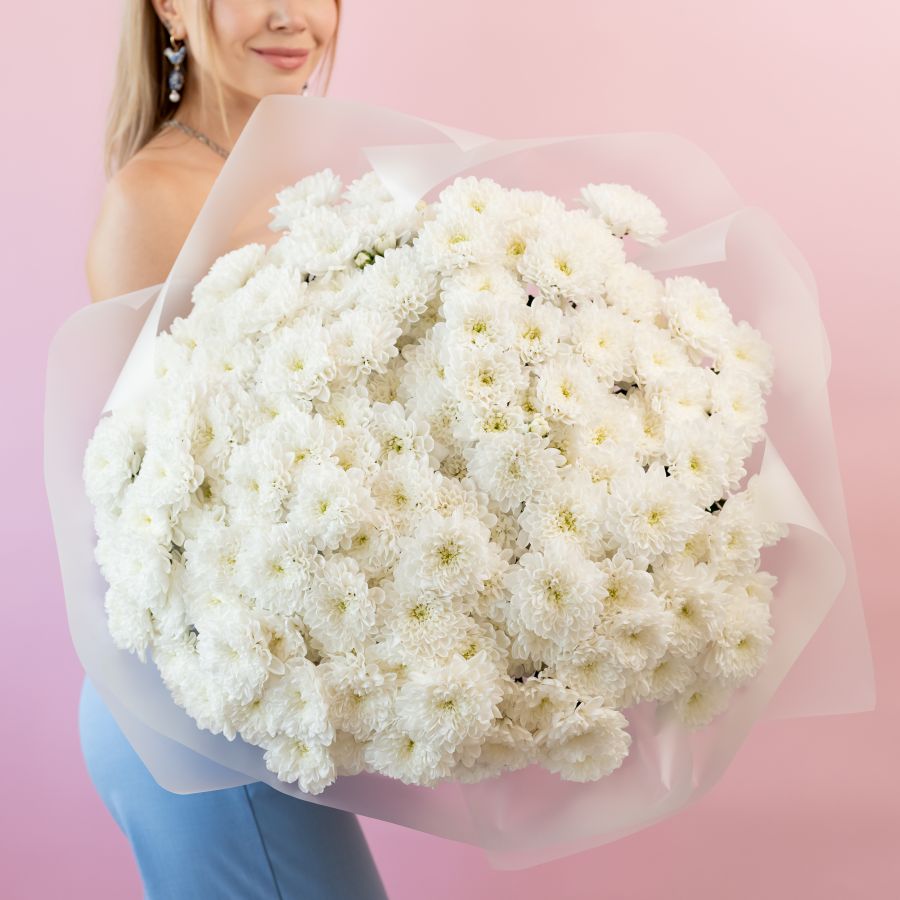 Хризантема (сорт Алтай) 25 шт