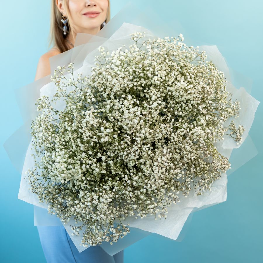 Гипса белая 25 шт