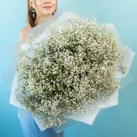 Гипса белая 25 шт