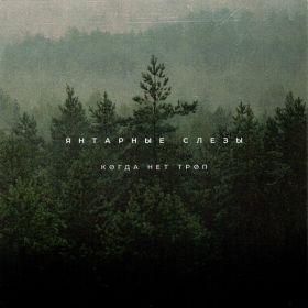 ЯНТАРНЫЕ СЛЁЗЫ - Когда нет троп