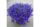 Лобелия HOT Blue
