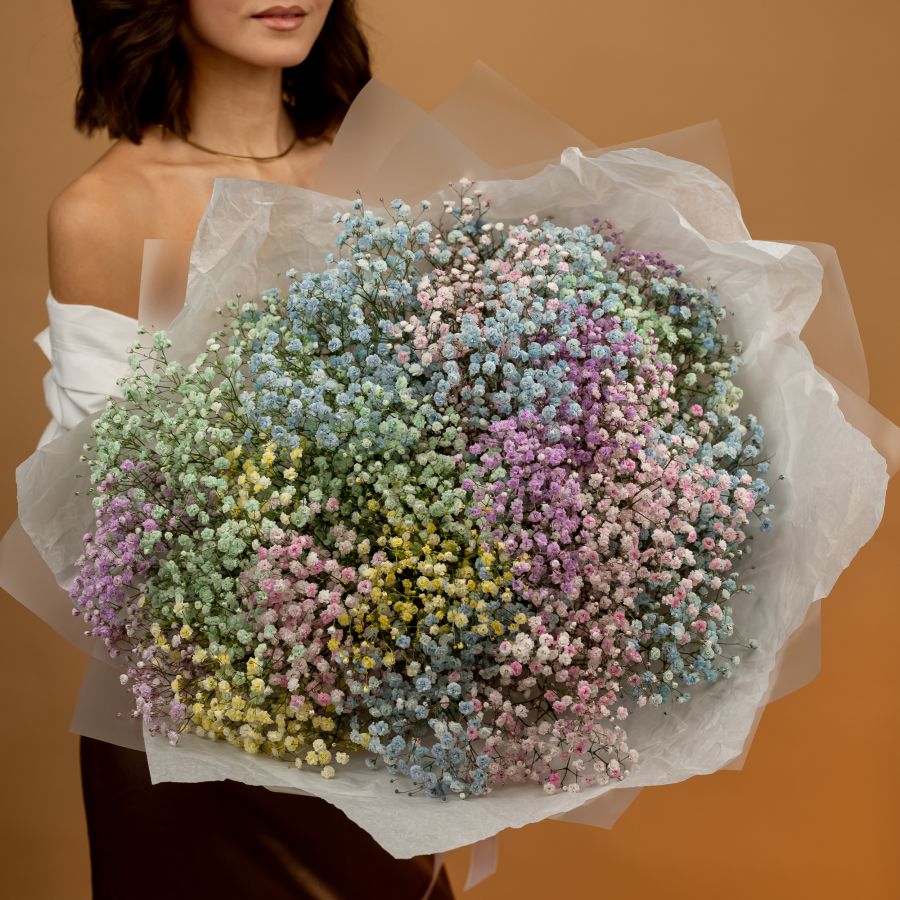 Гипсофила радужная 25