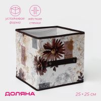 Короб стеллажный для хранения Доляна «Астра», 25?25?25 см