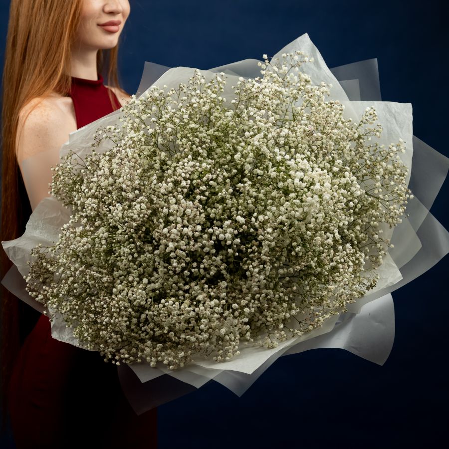 25 белых гипсофил