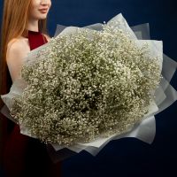 25 белых гипсофил