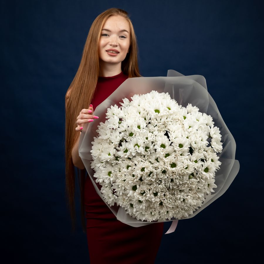 Хризантема (сорт Бакарди) 25 шт