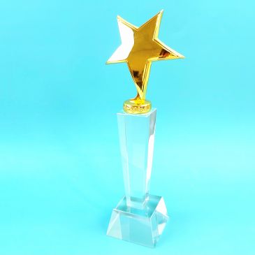 Награда из стекла со звездой NEW STAR