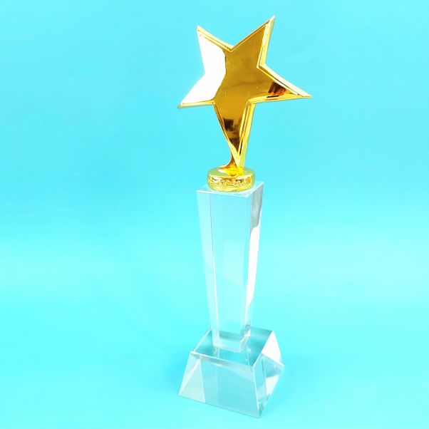Награда из стекла со звездой NEW STAR