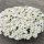 ПЕТХОА BEAUTICAL Pearl White