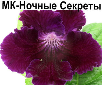 МК-Ночные Секреты (Карпова)