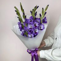 Букет из 5 сиреневых гладиолусов