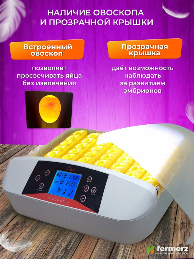 Инкубатор HHD на 42 яица автоматический переворот, оснащен овоскопом