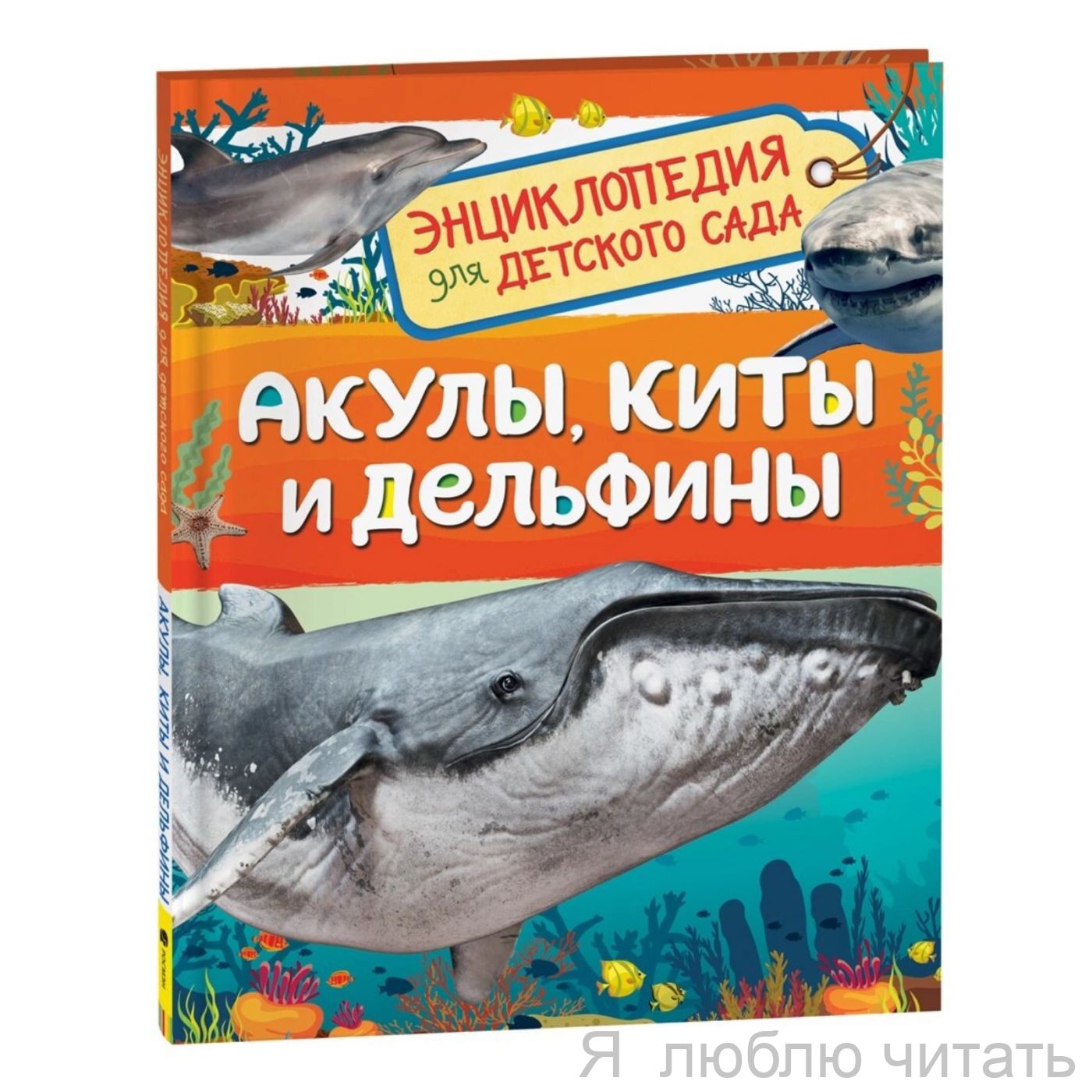 Акулы, киты и дельфины. Энциклопедия для детского сада