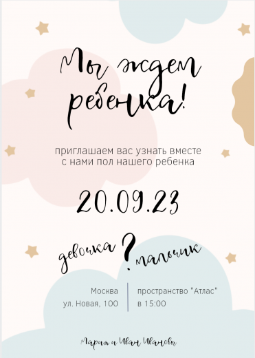 Приглашение на гендер-пати PT-14271