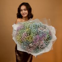 гипса радужная 25