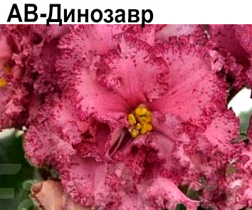 АВ-Динозавр (А. Тарасов)