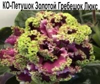 КО-Петушок Золотой Гребешок Люкс
