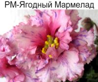 РМ-Ягодный Мармелад