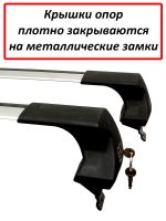 Багажник на крышу Хонда Степвагон (Honda Stepwgn (4G) / Honda Stepwgn Spada, 2017-2021), ED Tana, с замком, серебристые крыловидные дуги