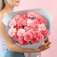 25 розовых диантусов