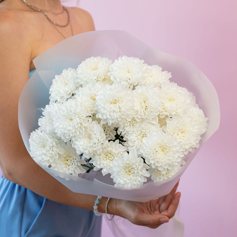 Хризантема (сорт Алтай) от 5 шт