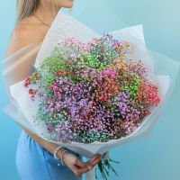 Гипсофила микс от 7 шт