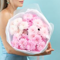 Хризантема 5 шт (Розовая нежная)