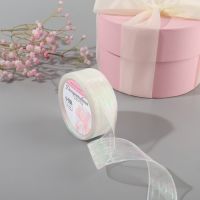 Лента капроновая, с люрексом, 25 мм ? 9,1 ± 0,5 м, цвет белый/радужный