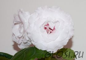 ЕН-Дом Восходящего Солнца (сел.Е.Николаева) Новинка 2024!