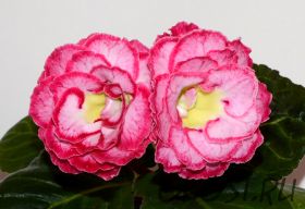 ЕН-Танец при Свечах (сел.Е.Николаева) Новинка 2025!