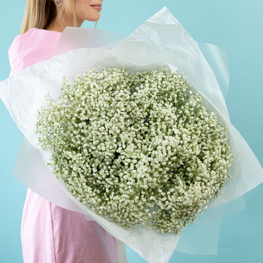 Белая гипсофила от 7 шт