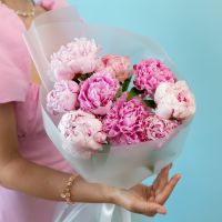 9 пионов в упаковке