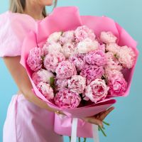 25 пионов в упаковке