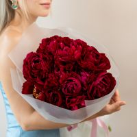 11 пионы красные