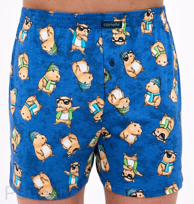 001-178 Трусы мужские семейные Cornette