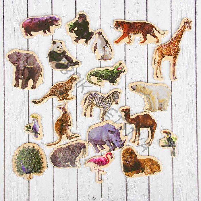 Деревянные магниты «Дикие животные», набор 20 шт.