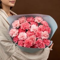 Розовые диантусы от 15 шт