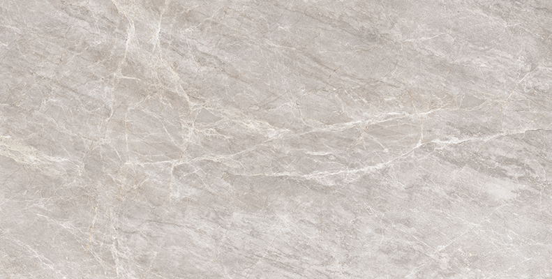 60X120 SALOME GRI TAM PARLAK REKTIFIYE | EGE SERAMIK