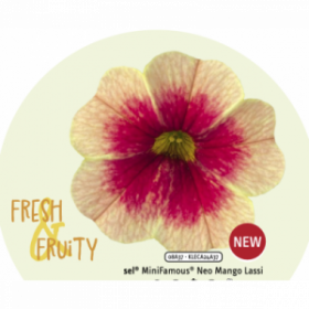 КАЛИБРАХОА FRESH AND FRUITY MANGO LASSI (Я)