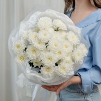 5 белых хризантем (сорт Алтай)
