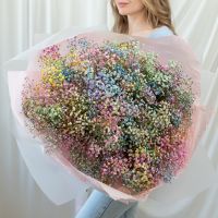 25 радужных гипсофил