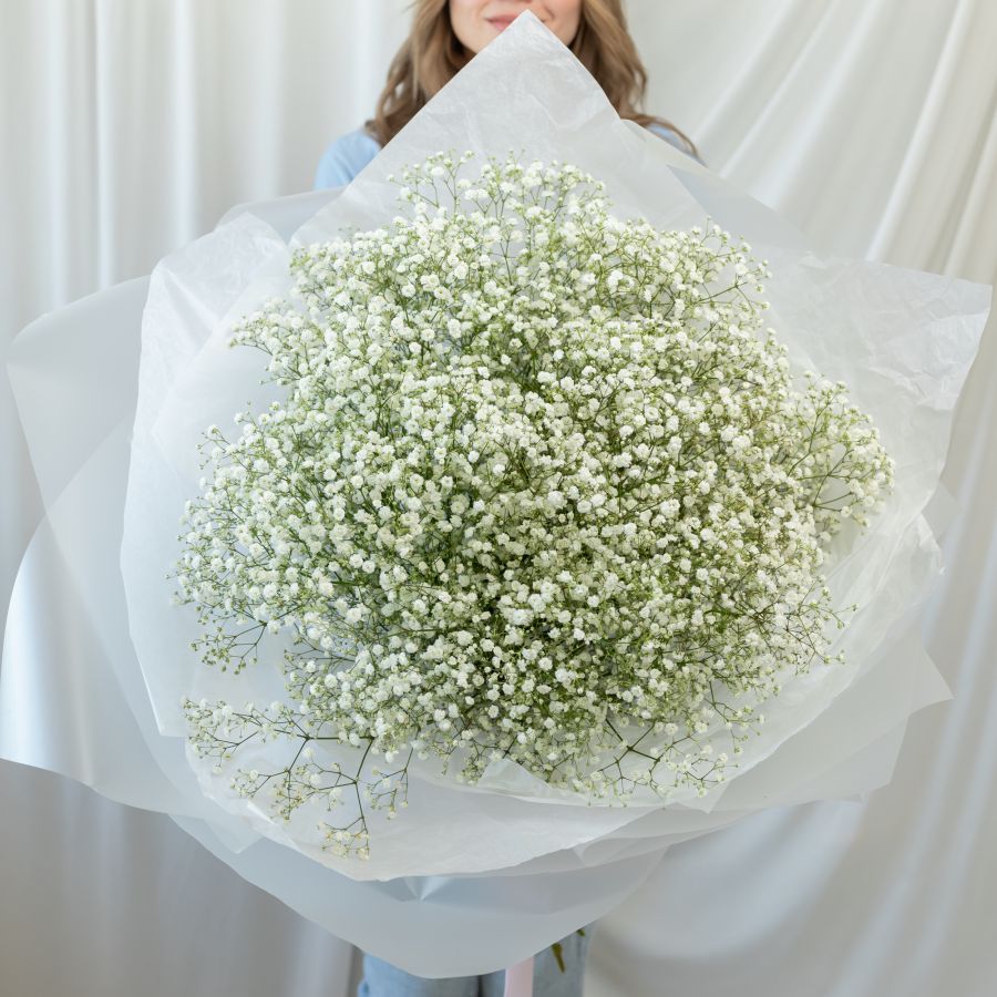 25 белых гипсофил