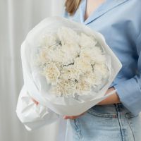 15 белых диантусов