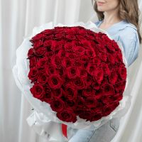 101 красная роза (сорт Эквадор 60 см)